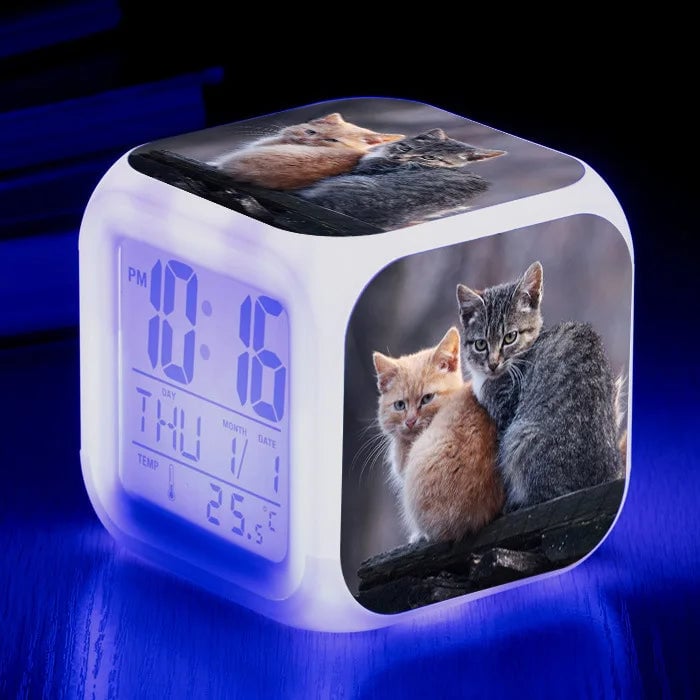 Productfoto