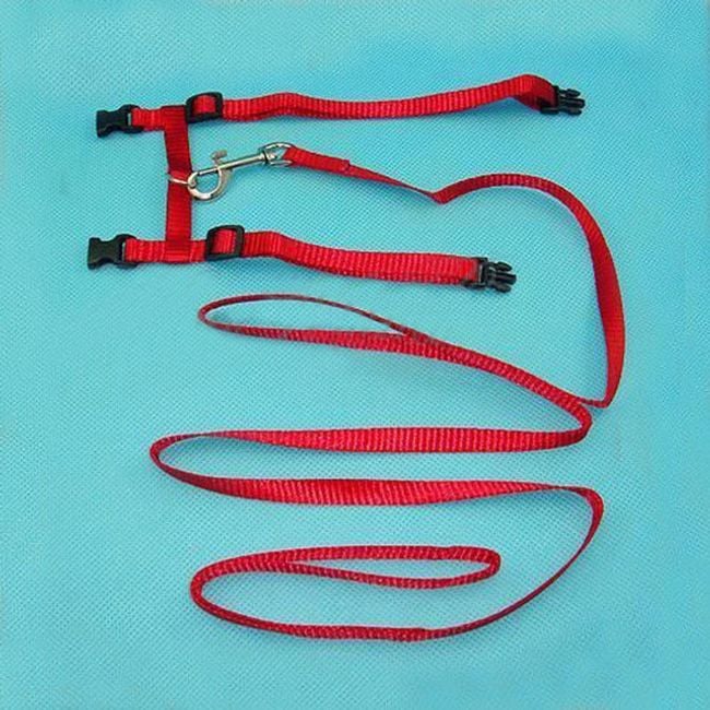 Product photo