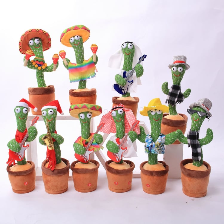 Productfoto