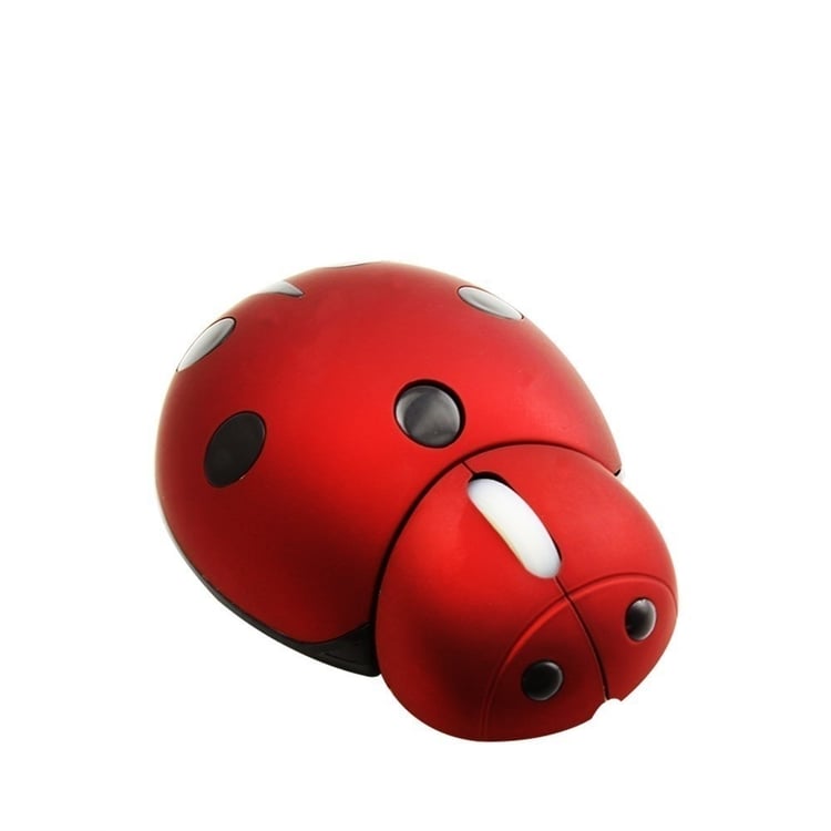 Productfoto