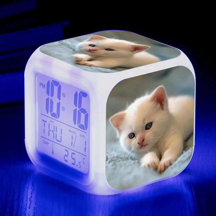 Productfoto