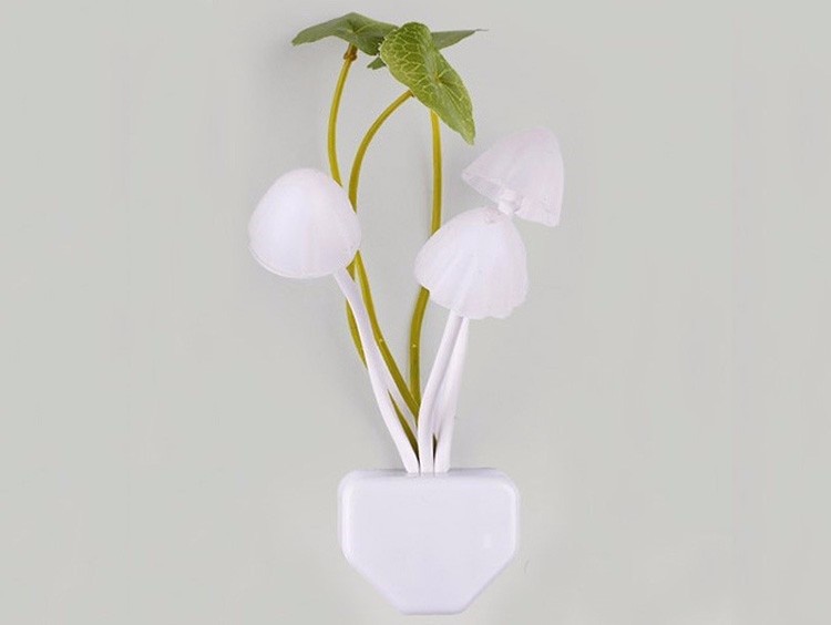 Productfoto