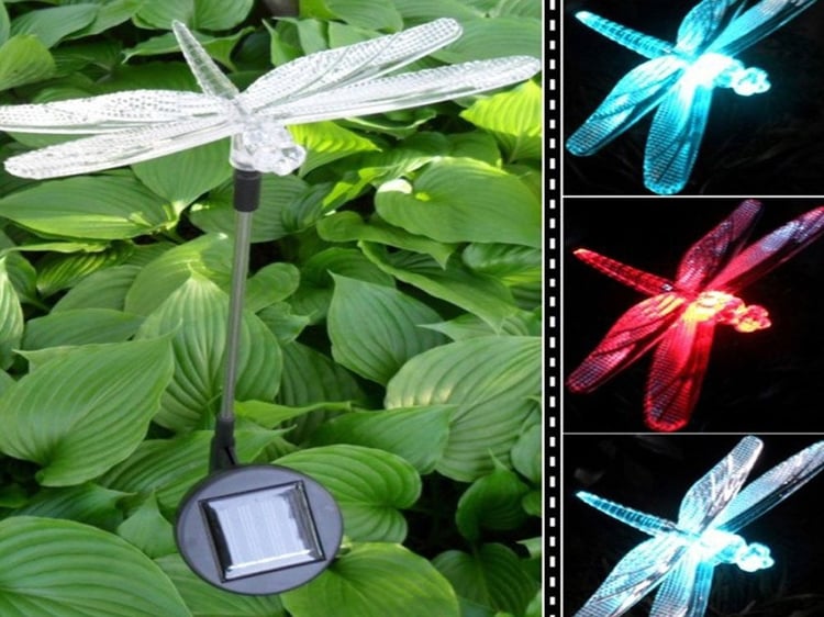 Productfoto