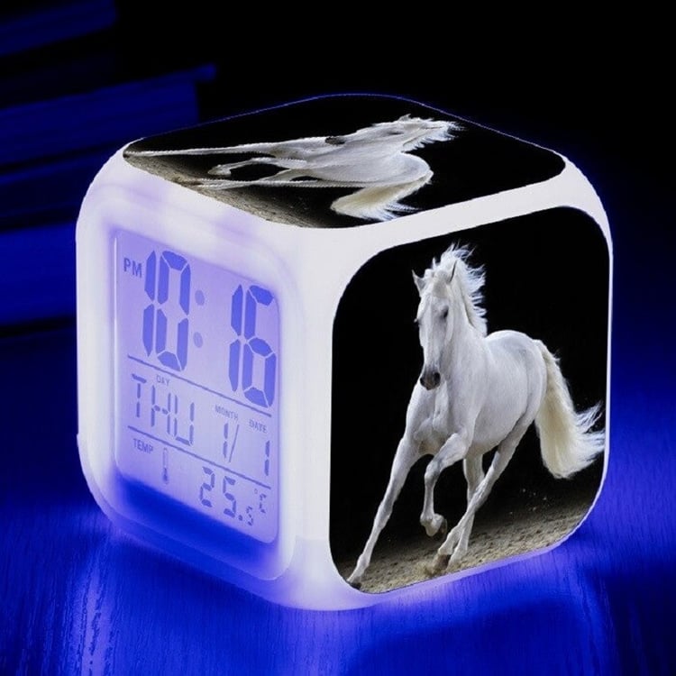 Productfoto