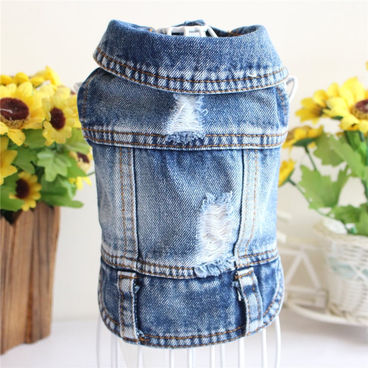 Product photo