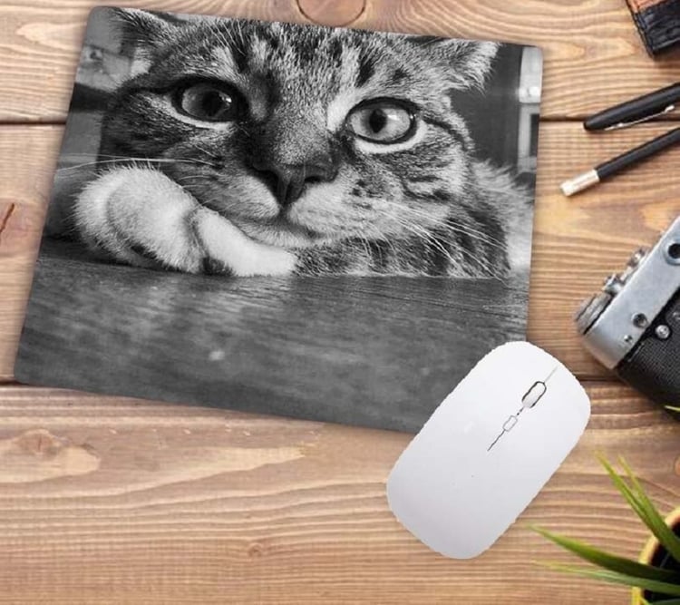 Product photo