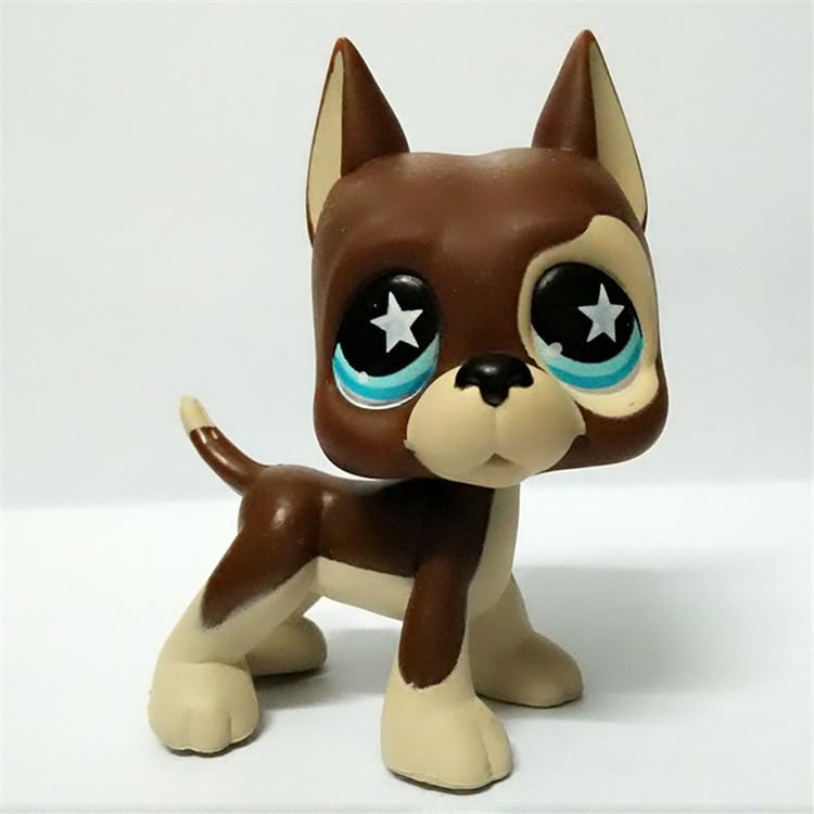 Product photo