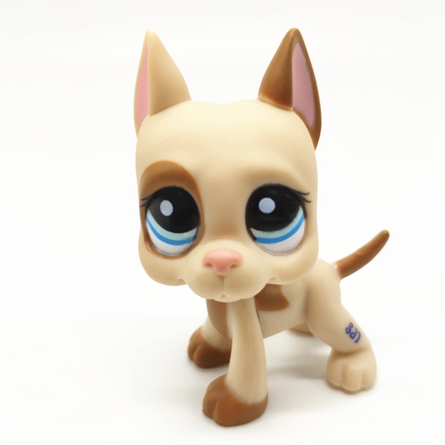 Product photo