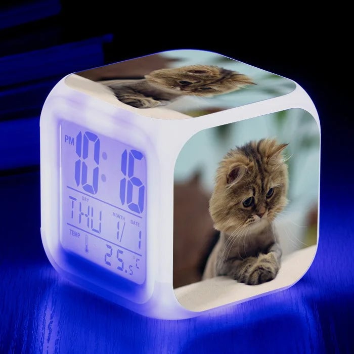 Productfoto