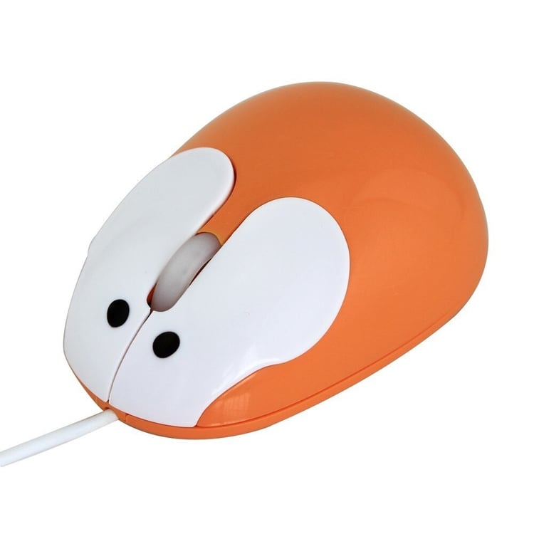 Productfoto