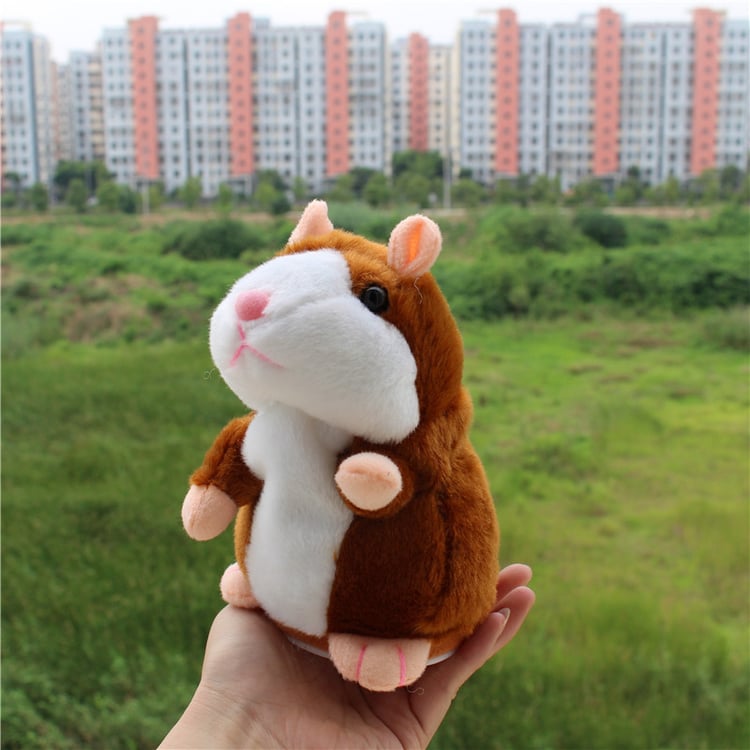 Product photo