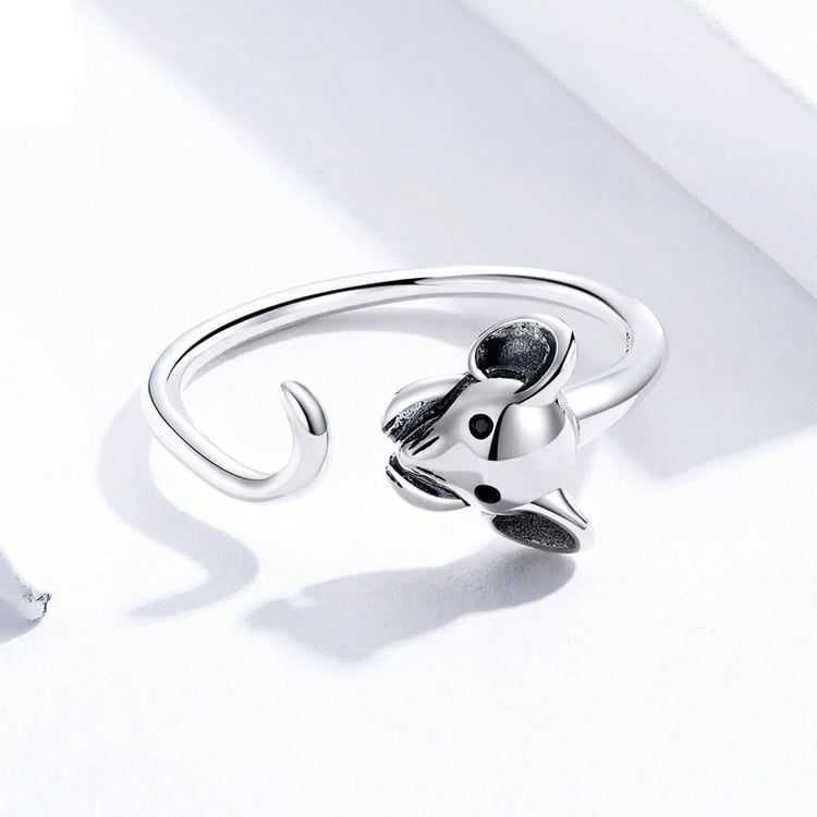Productfoto