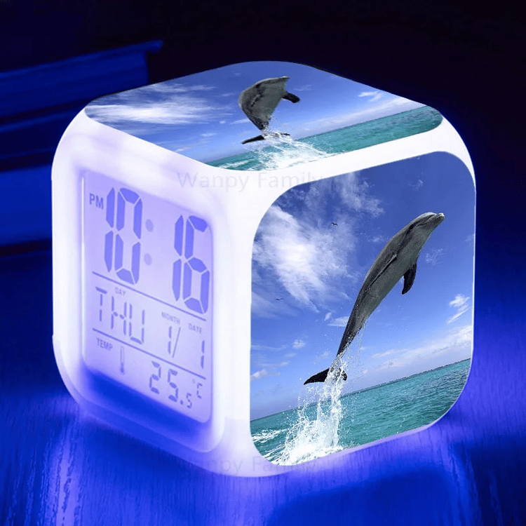 Productfoto