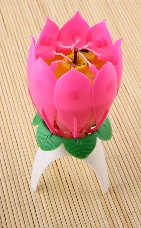 Productfoto