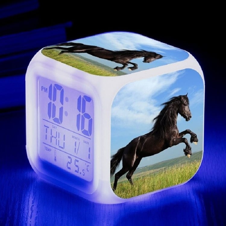 Productfoto