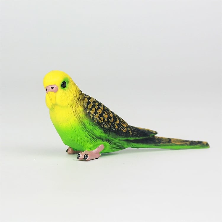 Productfoto
