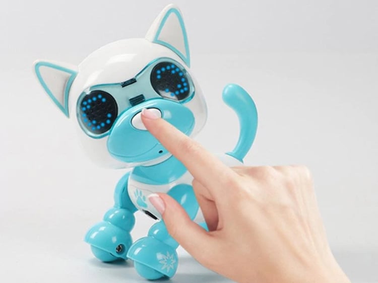 Product photo