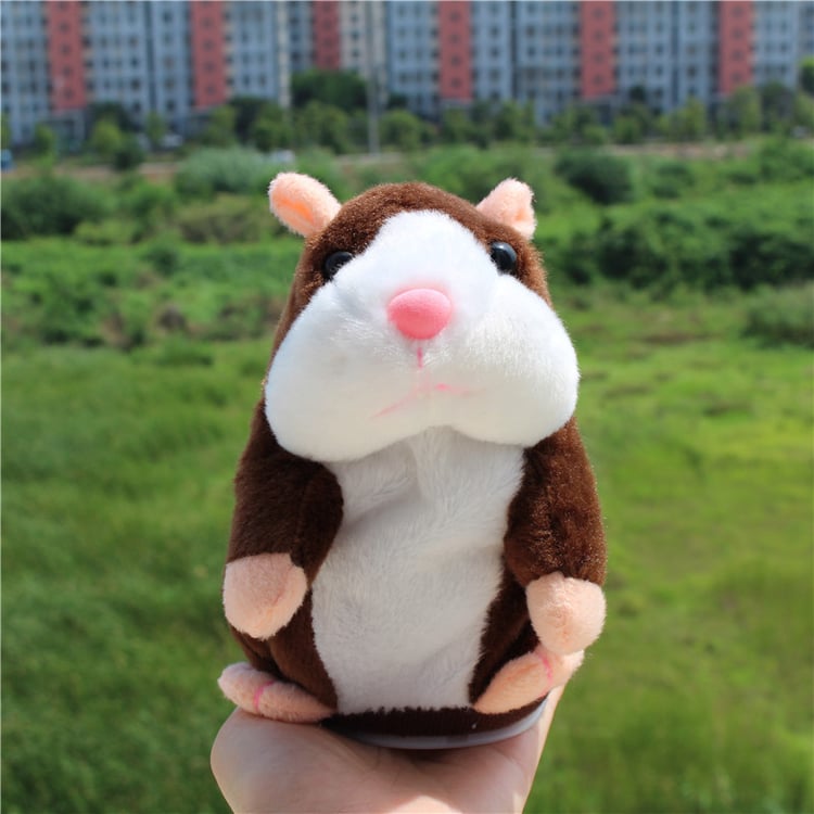 Product photo