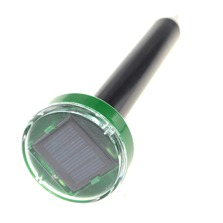 Product photo
