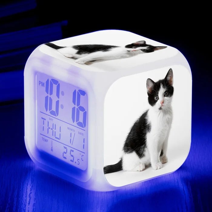 Productfoto