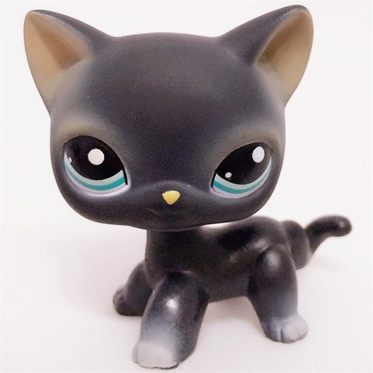 Product photo