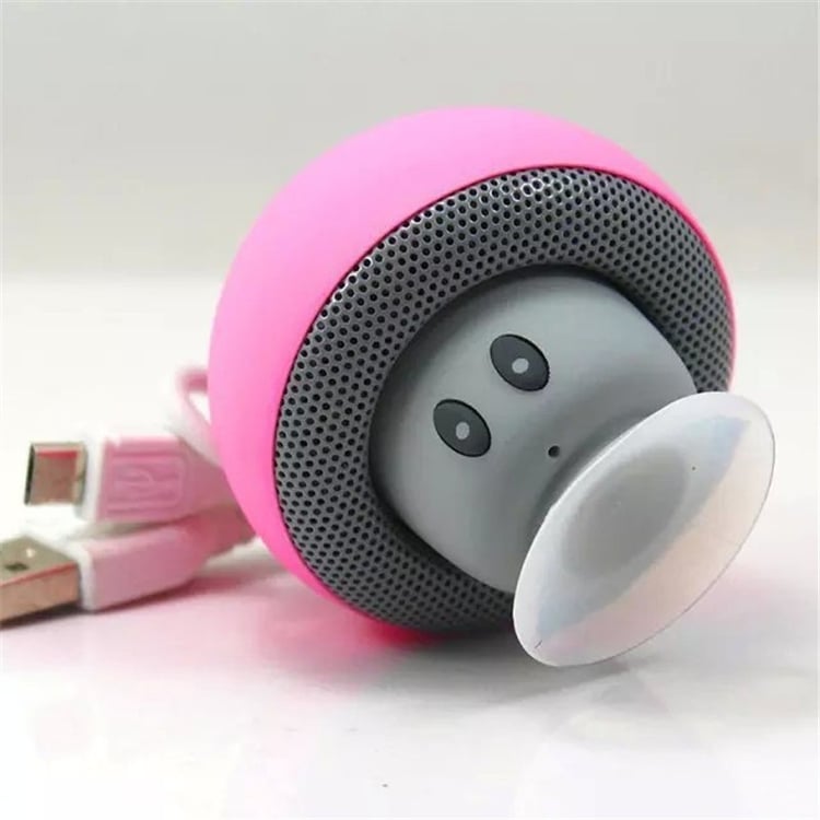 Productfoto