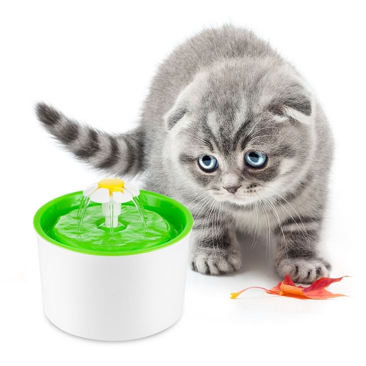 Product photo