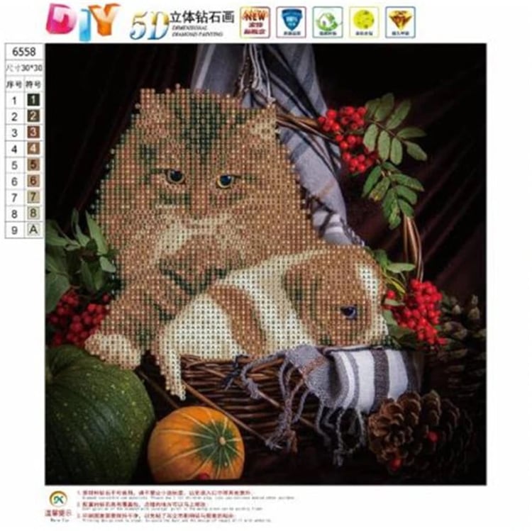 Product photo