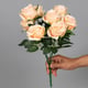 Productfoto