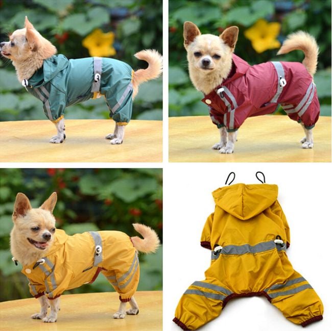 Product photo