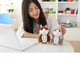Product photo
