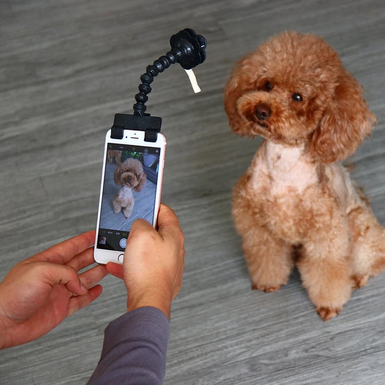 Product photo