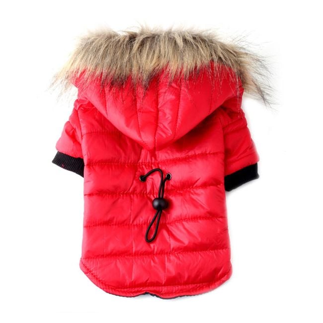Product photo