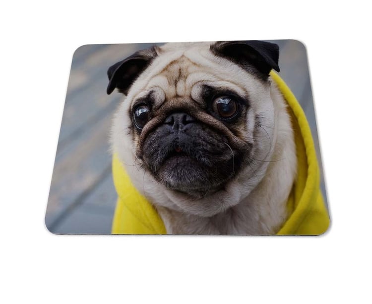 Product photo