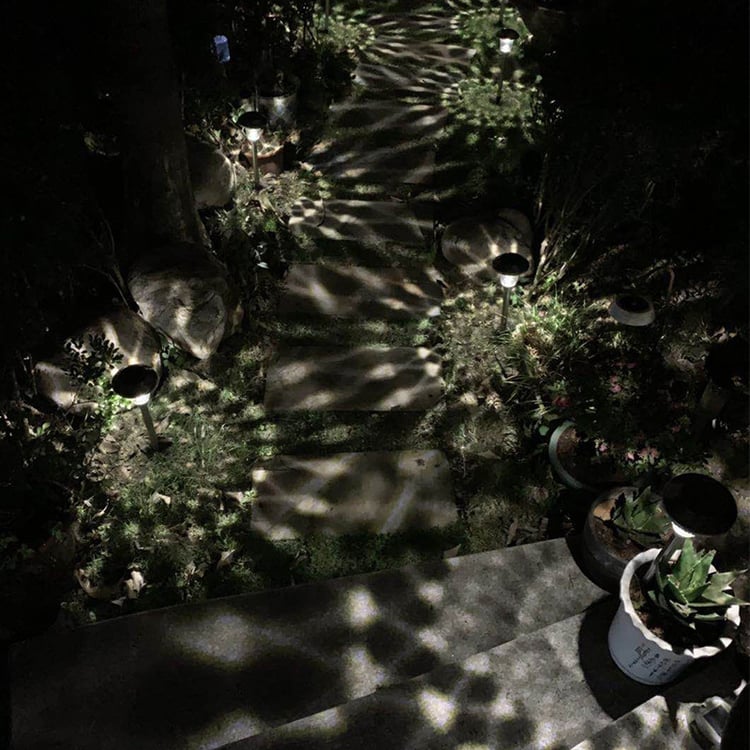 Fotografia produktu