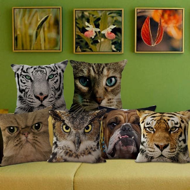 Productfoto