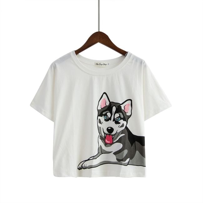 Product photo