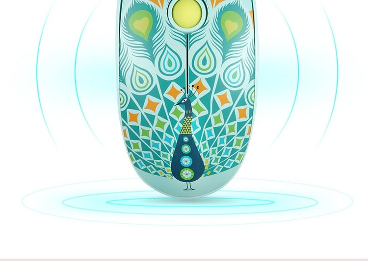 Productfoto