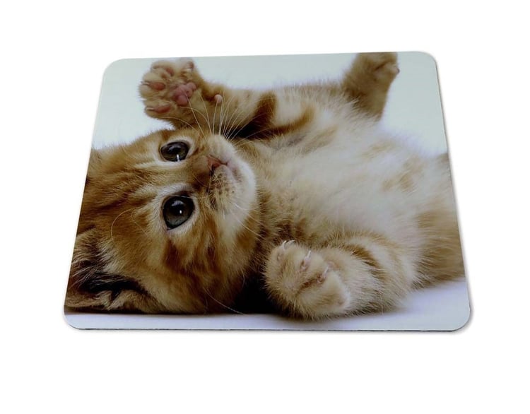 Product photo