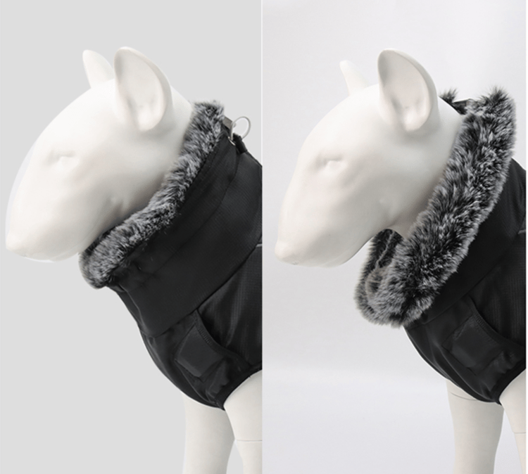 Product photo