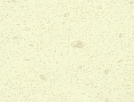 TopSideImage22-icon