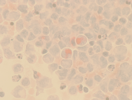 TopSideImage22-icon