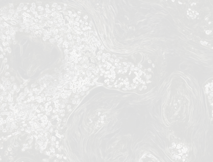 TopSideImage22-icon