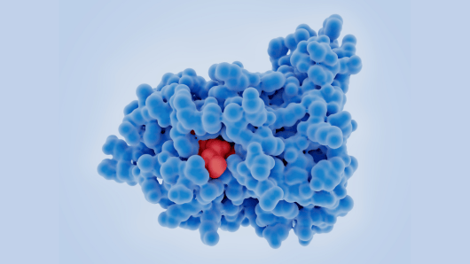 TopSideImage22-icon