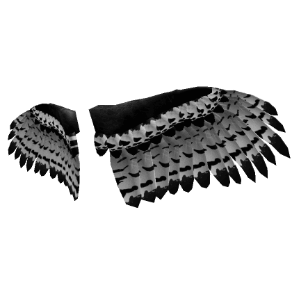 Black and White Harpy Eagle Wings