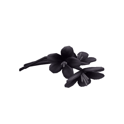 Bouquet Snack Black