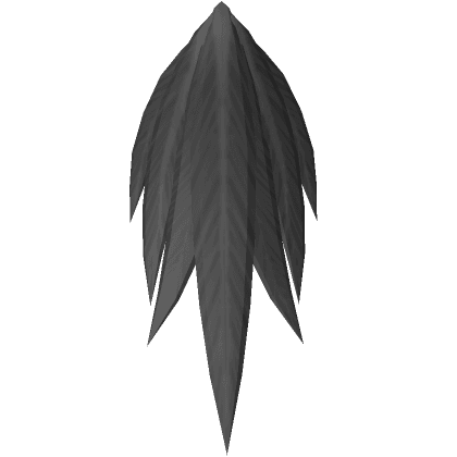 Raven Tail Feathers