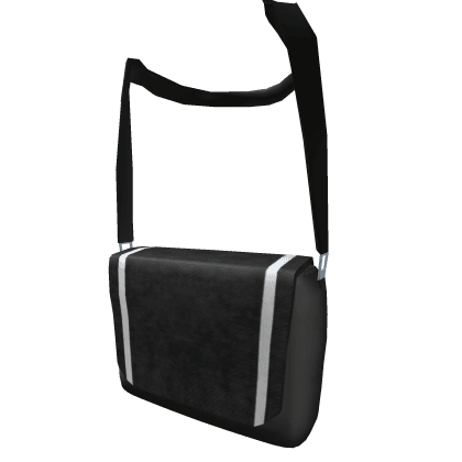 Black & White Trendy Bag