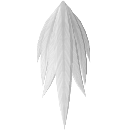 Dove Tail Feathers