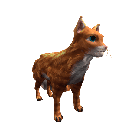 Ginger Cat Pet